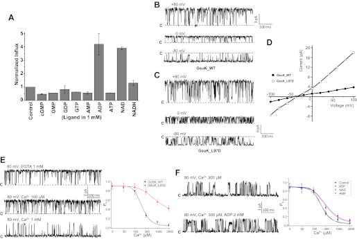 Figure 6.