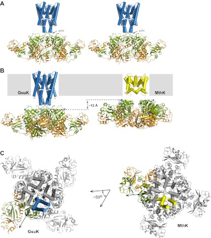 Figure 7.