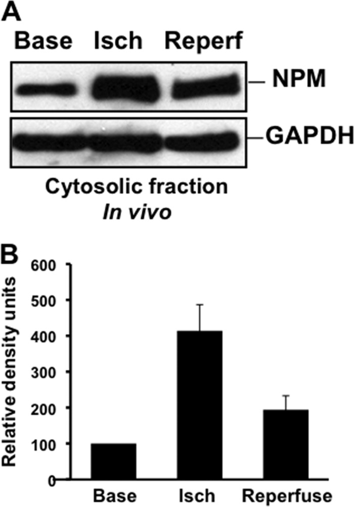 Fig 9