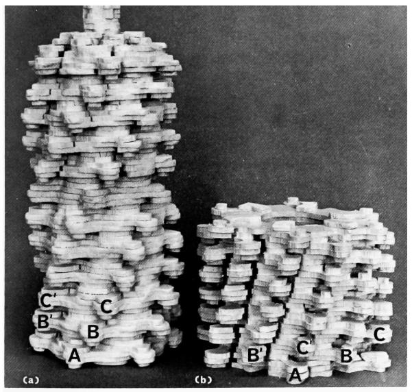 Plate IV