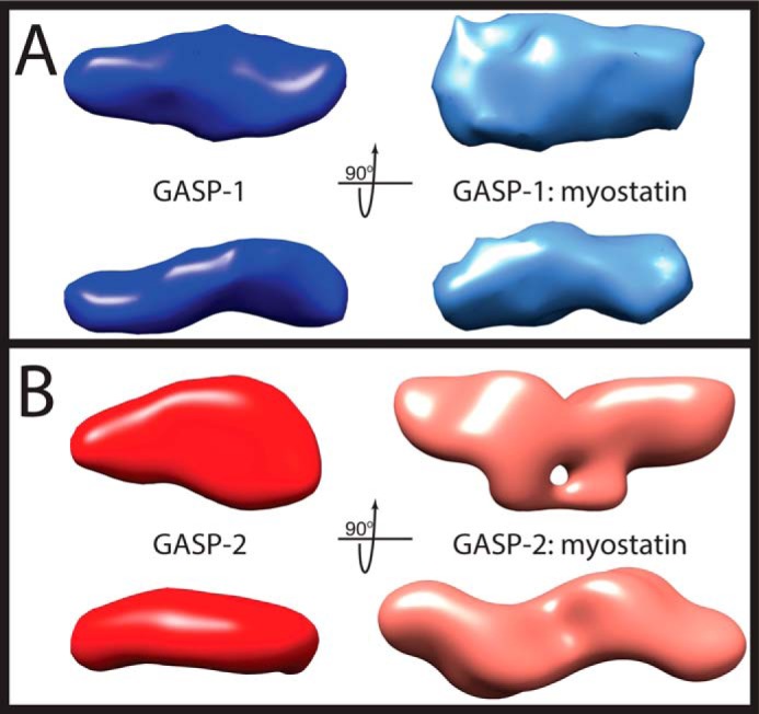 FIGURE 5.