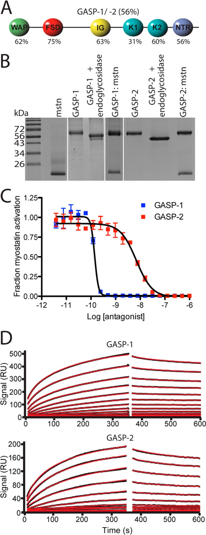 FIGURE 1.