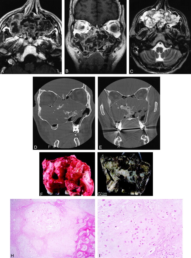 Fig 1.