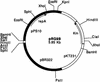 FIG. 1.