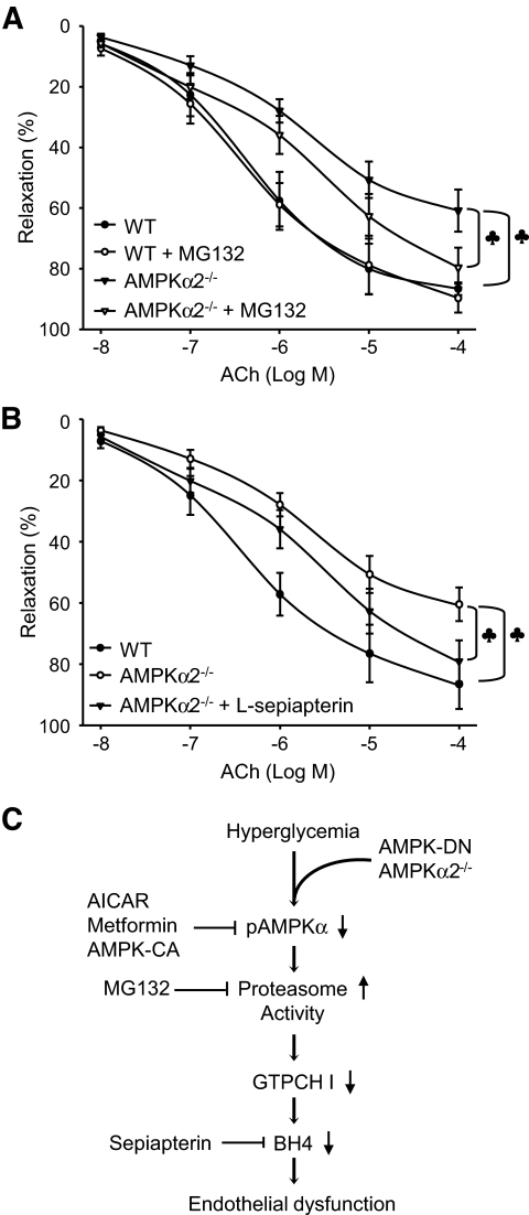 FIG. 7