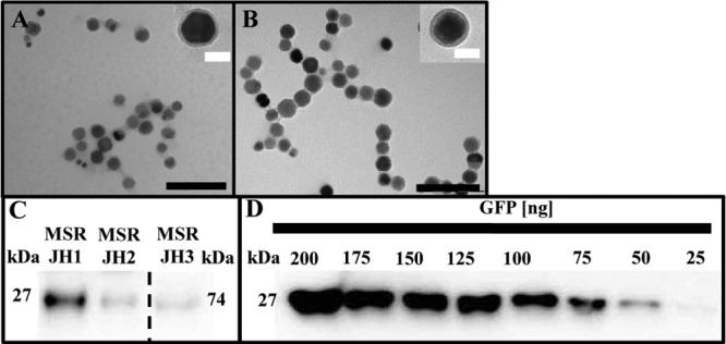 FIG 4