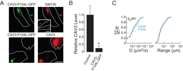 Figure 4: