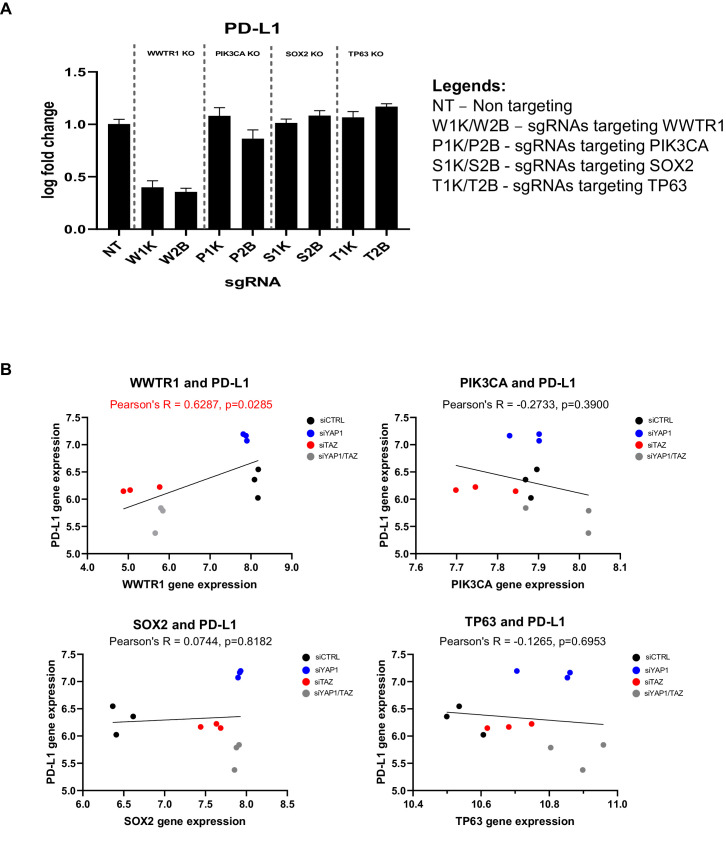 Figure 6—figure supplement 3.