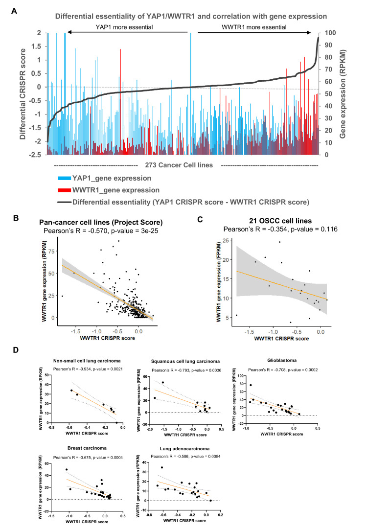 Figure 3—figure supplement 3.