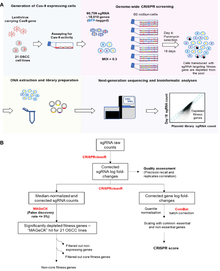 Figure 1—figure supplement 1.