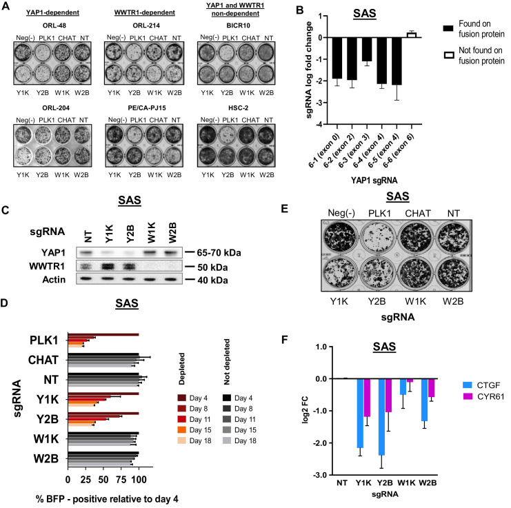 Figure 3—figure supplement 4.