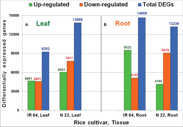 Figure 4