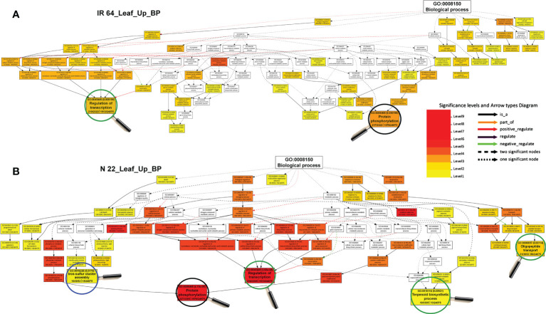 Figure 6