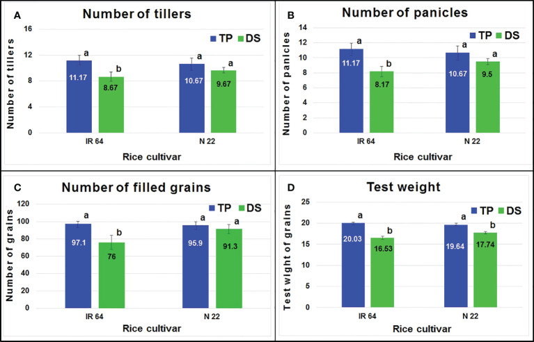 Figure 2