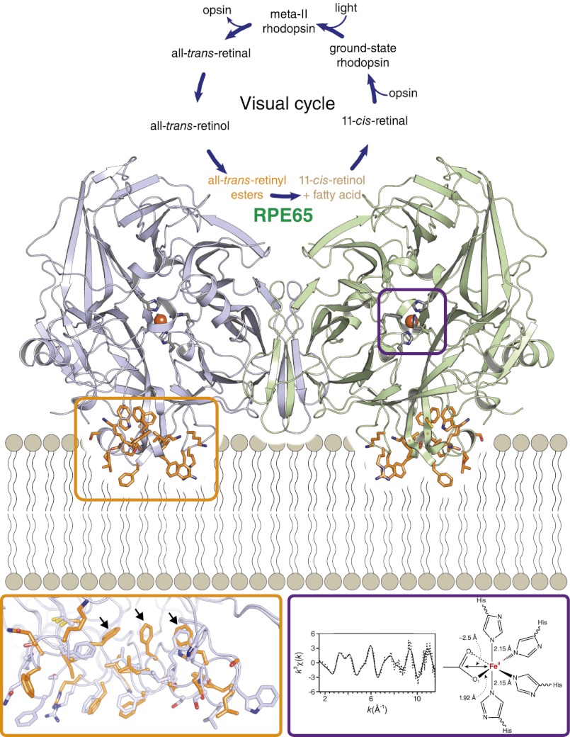 Fig. P1.