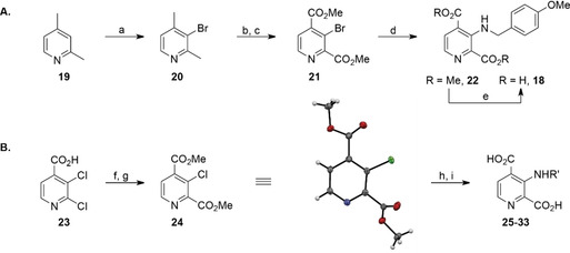 Scheme 1