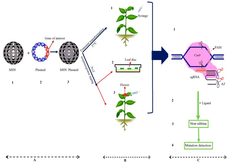 Figure 3