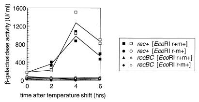 FIG. 5