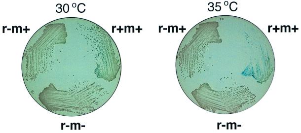 FIG. 6