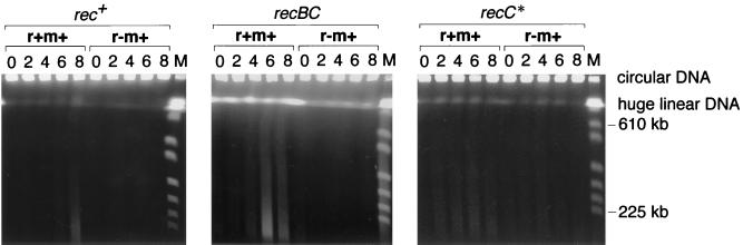 FIG. 4