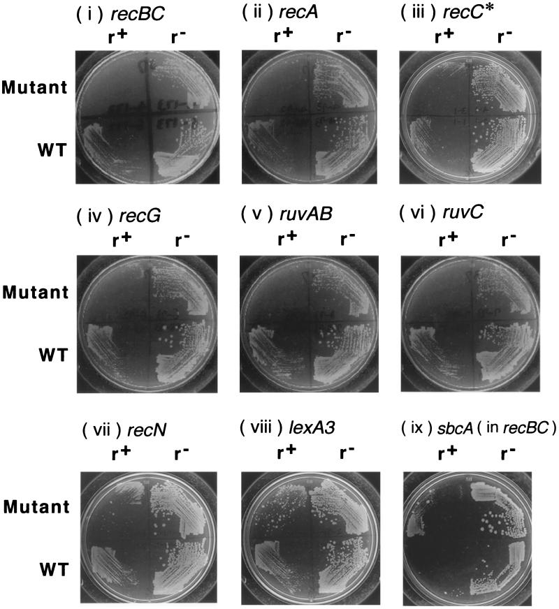 FIG. 7