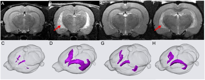 Fig 7