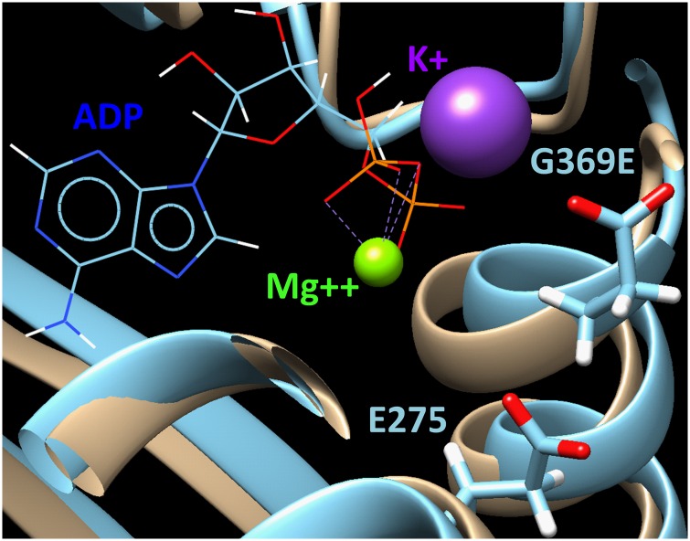 Fig 2