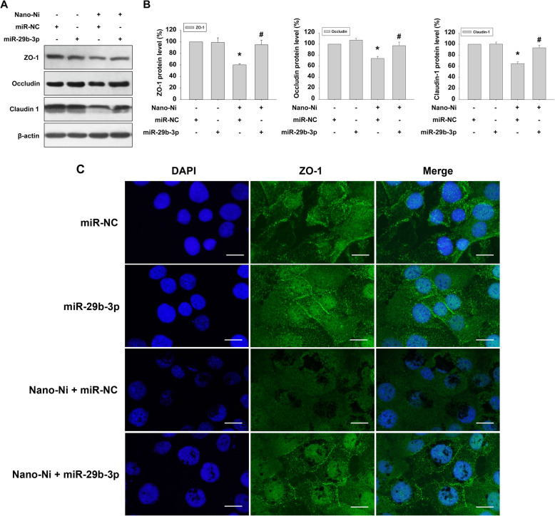 Fig. 11