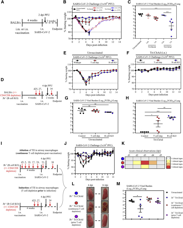 Figure 5