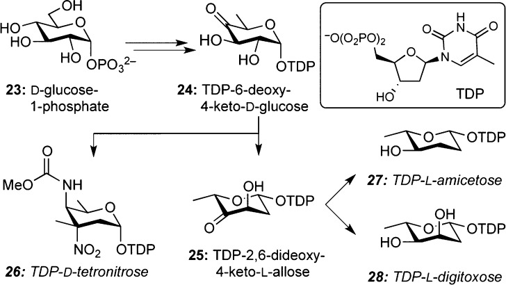 Scheme 2