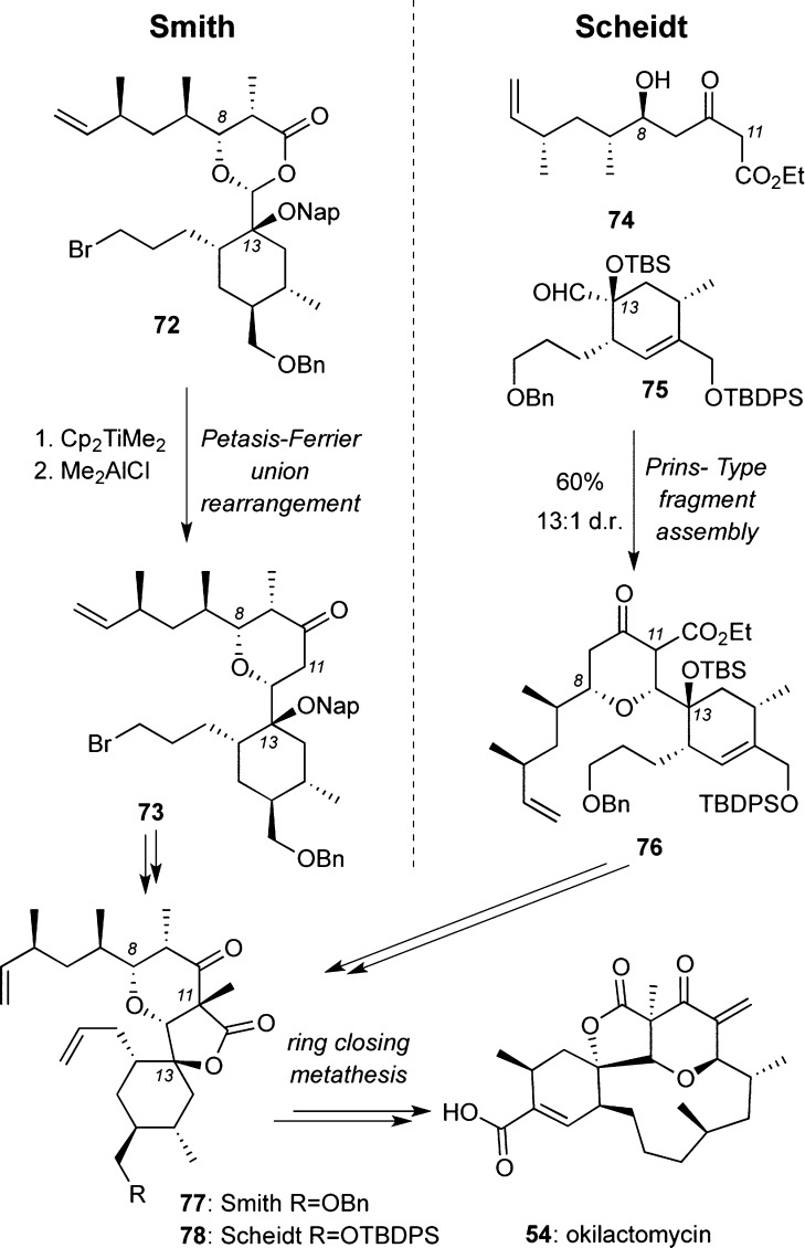 Scheme 5