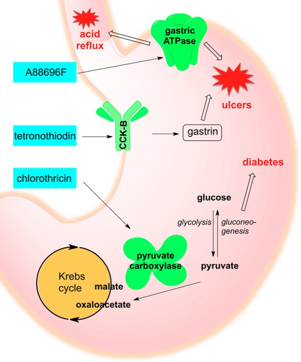 Figure 11