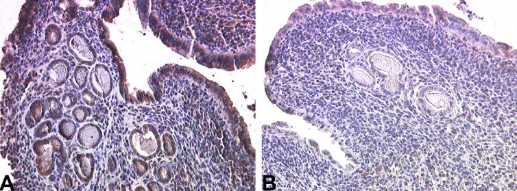 Fig. 10