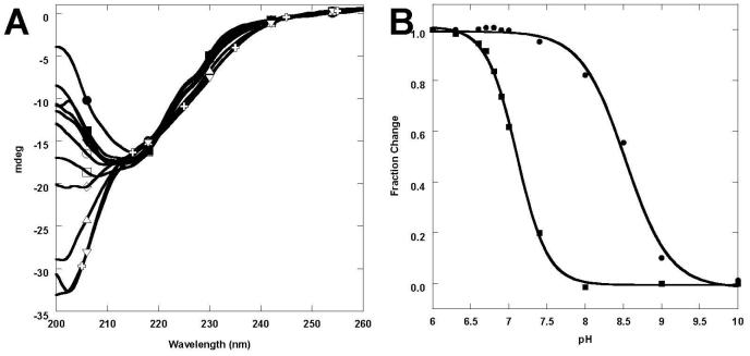 Fig. 5