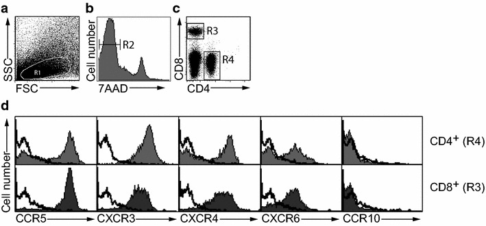 Fig. 1