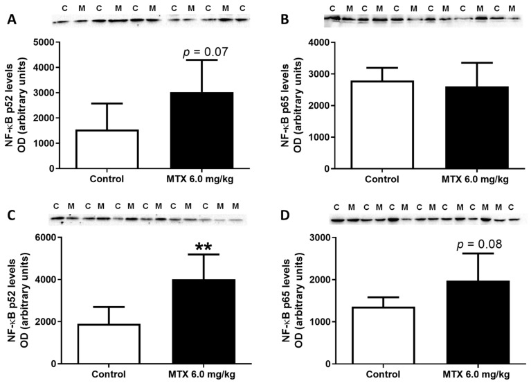 Figure 10