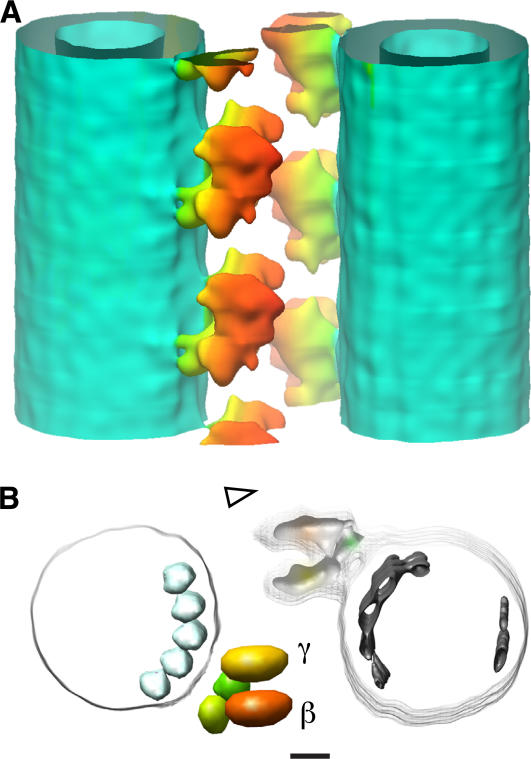 Figure 7.