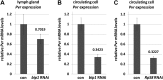 Figure 6—figure supplement 1.