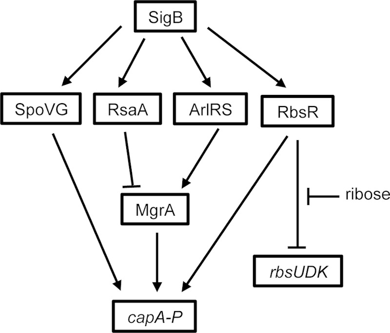 FIG 8