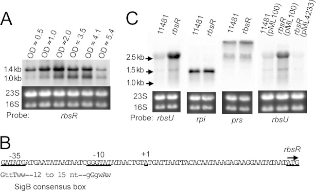 FIG 5