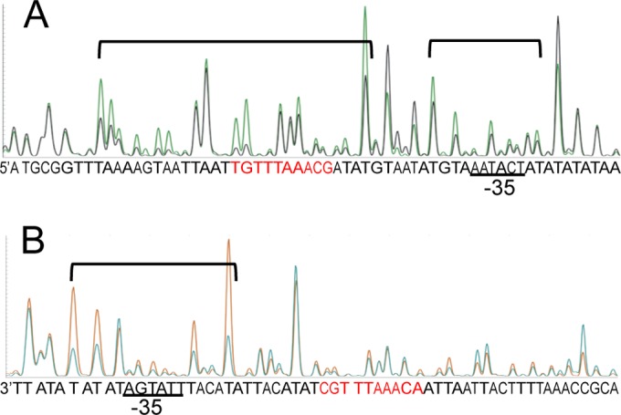 FIG 4