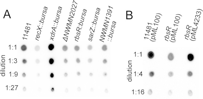 FIG 2