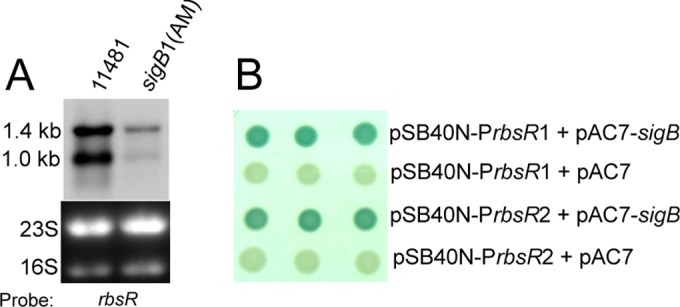 FIG 6