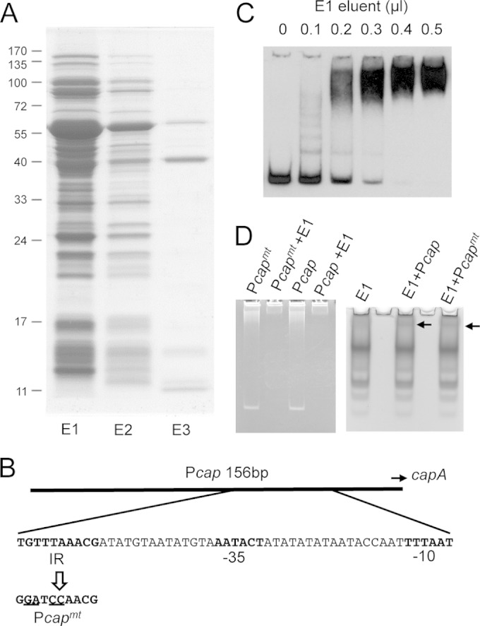 FIG 1