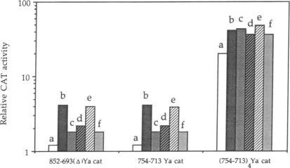 graphic file with name pnas01041-0262-b.jpg