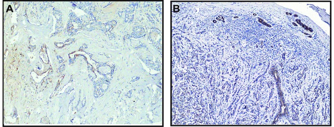 Figure 12.