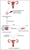 Figure 2: