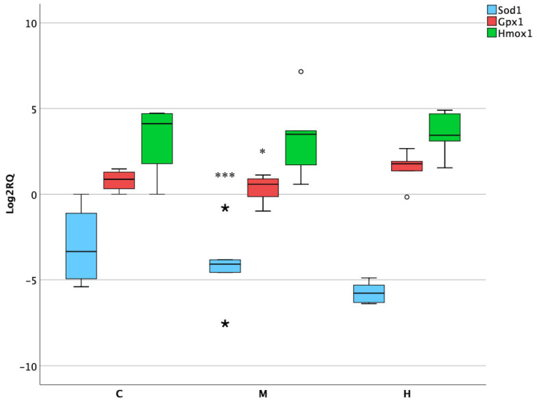 Figure 5