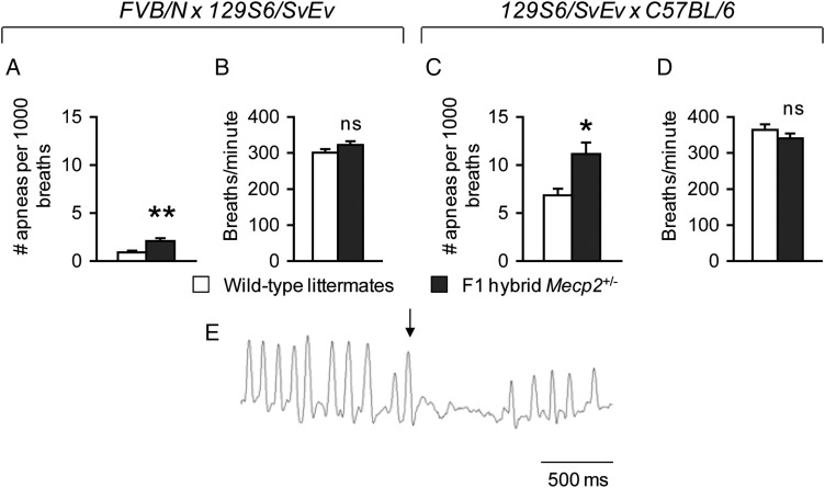 Figure 5.