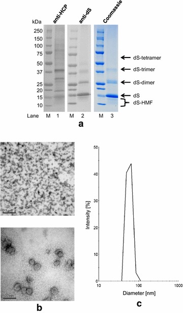 Fig. 6